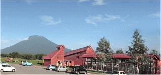 meijiya hokkaidounoyasaisyokuhin | 라쿠텐 일본: 농후 홋카이도 니 세 코 발 놀라운 요구르트 500ml× 20 책 선물 다카하시 목장 우유... 