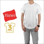 PLAYERZ | 라쿠텐 일본: Hanes 헤 인 즈 열 V 넥 긴 소매 T 셔츠 15FW 헤 인 즈 (HM4-G502) 멘 즈 사탕 화재 아버지의 날 선물