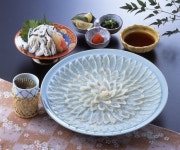 santosyoten | 라쿠텐 일본: 여름의 기프트에 추천토라후구 찔러 m몸 5명~6인분 세트 33 cm의 도기 청자명성부