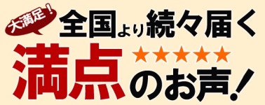 Feather futon feather factory Suyasuya | Rakuten Global Market: Increased 1.3 Kg with domestic Excel gold (SL) United Kingdom... 