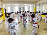 경희대 킴스 태권스쿨 - 부평동 학원추천 부평동 학원추천