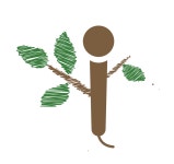 실외마스크 의무 해제 안내 :: 가정통신문 :: 능허대중학교 능허대중학교 :: 가정통신문 :: 실외마스크 의무 해제 안내