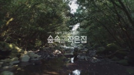 숲속의 작은 집 1화 < 동영상 < NO.1 K콘텐츠 채널, 즐거움엔 tvN 숲속의 작은 집 1화 < 동영상 < NO.1 K콘텐츠 채널, 즐거움엔 tvN 