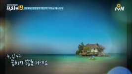 프리한19 | 동영상 > '유토피아 실사판' 안 가보면 평생 후회할 바위섬 레스토랑 유토피아 실사판 안 가보면 평생 후회할 바위섬 레스토랑
