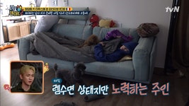 멍집사들은 공감하는 키의 첫 아침 일과 < 동영상 < 즐거움엔 끝이 없다, tvN