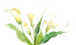 프리진 - 스톡 이미지, 사진, 일러스트, 벡터, 웹디자인. 이미지 사이트