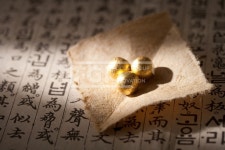 프리진 - 스톡 이미지, 사진, 일러스트, 벡터, 웹디자인. 이미지 사이트