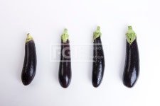 프리진 - 스톡 이미지, 사진, 일러스트, 벡터, 웹디자인. 이미지 사이트