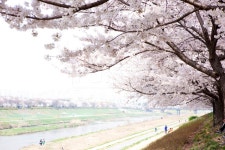 프리진 - 스톡 이미지, 사진, 일러스트, 벡터, 웹디자인. 이미지 사이트