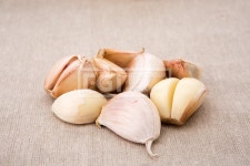 프리진 - 스톡 이미지, 사진, 일러스트, 벡터, 웹디자인. 이미지 사이트