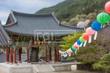 프리진 - 스톡 이미지, 사진, 일러스트, 벡터, 웹디자인. 이미지 사이트