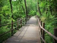 프리진 - 스톡 이미지, 사진, 일러스트, 벡터, 웹디자인. 이미지 사이트