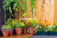 프리진 - 스톡 이미지, 사진, 일러스트, 벡터, 웹디자인. 이미지 사이트