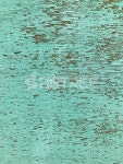 프리진 - 스톡 이미지, 사진, 일러스트, 벡터, 웹디자인. 이미지 사이트