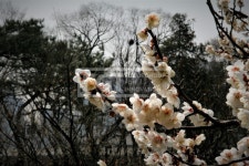 프리진 - 스톡 이미지, 사진, 일러스트, 벡터, 웹디자인. 이미지 사이트