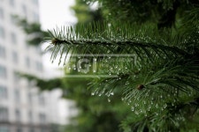 프리진 - 스톡 이미지, 사진, 일러스트, 벡터, 웹디자인. 이미지 사이트