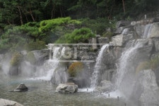 프리진 - 스톡 이미지, 사진, 일러스트, 벡터, 웹디자인. 이미지 사이트