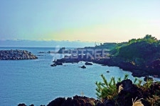 프리진 - 스톡 이미지, 사진, 일러스트, 벡터, 웹디자인. 이미지 사이트