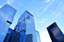 프리진 - 스톡 이미지, 사진, 일러스트, 벡터, 웹디자인. 이미지 사이트