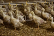 프리진 - 스톡 이미지, 사진, 일러스트, 벡터, 웹디자인. 이미지 사이트