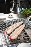 프리진 - 스톡 이미지, 사진, 일러스트, 벡터, 웹디자인. 이미지 사이트