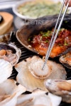 프리진 - 스톡 이미지, 사진, 일러스트, 벡터, 웹디자인. 이미지 사이트