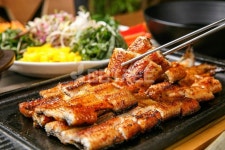 프리진 - 스톡 이미지, 사진, 일러스트, 벡터, 웹디자인. 이미지 사이트