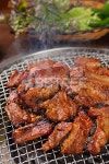 프리진 - 스톡 이미지, 사진, 일러스트, 벡터, 웹디자인. 이미지 사이트