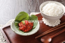 프리진 - 스톡 이미지, 사진, 일러스트, 벡터, 웹디자인. 이미지 사이트