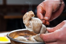 프리진 - 스톡 이미지, 사진, 일러스트, 벡터, 웹디자인. 이미지 사이트