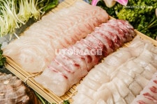 프리진 - 스톡 이미지, 사진, 일러스트, 벡터, 웹디자인. 이미지 사이트