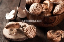 프리진 - 스톡 이미지, 사진, 일러스트, 벡터, 웹디자인. 이미지 사이트