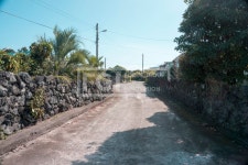 프리진 - 스톡 이미지, 사진, 일러스트, 벡터, 웹디자인. 이미지 사이트