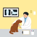 프리진 - 스톡 이미지, 사진, 일러스트, 벡터, 웹디자인. 이미지 사이트