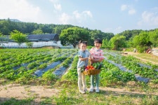 프리진 - 스톡 이미지, 사진, 일러스트, 벡터, 웹디자인. 이미지 사이트