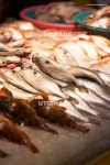 프리진 - 스톡 이미지, 사진, 일러스트, 벡터, 웹디자인. 이미지 사이트