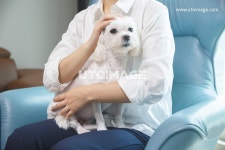 프리진 - 스톡 이미지, 사진, 일러스트, 벡터, 웹디자인. 이미지 사이트