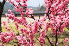 프리진 - 스톡 이미지, 사진, 일러스트, 벡터, 웹디자인. 이미지 사이트