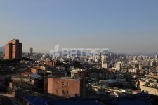 프리진 - 스톡 이미지, 사진, 일러스트, 벡터, 웹디자인. 이미지 사이트