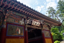 프리진 - 스톡 이미지, 사진, 일러스트, 벡터, 웹디자인. 이미지 사이트