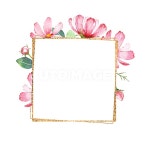 프리진 - 스톡 이미지, 사진, 일러스트, 벡터, 웹디자인. 이미지 사이트