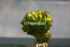 프리진 - 스톡 이미지, 사진, 일러스트, 벡터, 웹디자인. 이미지 사이트