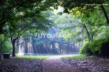 프리진 - 스톡 이미지, 사진, 일러스트, 벡터, 웹디자인. 이미지 사이트