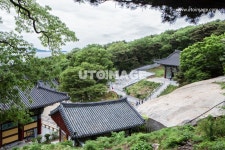 프리진 - 스톡 이미지, 사진, 일러스트, 벡터, 웹디자인. 이미지 사이트