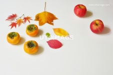 프리진 - 스톡 이미지, 사진, 일러스트, 벡터, 웹디자인. 이미지 사이트