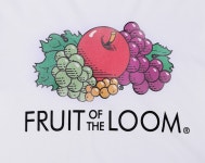 [FRUIT OF THE LOOM프룻오브더룸][Asian fit] 210g FRUIT LOGO T-SHIRTS WHITE [W CONCEPT]