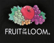 [FRUIT OF THE LOOM프룻오브더룸][Asian fit] 210g FRUIT LOGO T-SHIRTS BLACK [W CONCEPT]