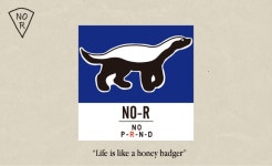 [NO-R노알]Honey Badger Patch Cap / Navy [W CONCEPT]