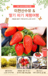 여주 딸기 따기 체험 - 특가대표! 위메프 여주 딸기 따기 체험 9,900원 ▶ 구경하러가기