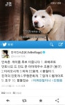 민속촌 개 이름 공모전,이리오시개 재치 기발 大폭소 - 한국경제TV